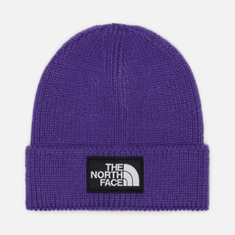 The North Face: Фиолетовая шапка  Logo Box