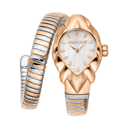 Roberto Cavalli Fiaba Silver-tone Dial Ladies Watch rc5l110m0085