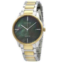 Citizen Quartz Watch bm7524-87y
