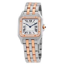 Cartier - ساعة - W3PN0015