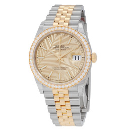 Rolex Datejust 36 Automatic Champagne Palm Motif Dial Chronometer Diamond Watch 126283csplmj