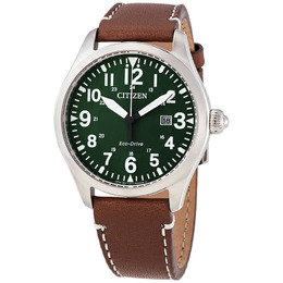 Citizen Chandler Eco-Drive Green Dial Dark Brown Leather Mens Watch bm6838-09x