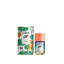 LOEWE: Духи 