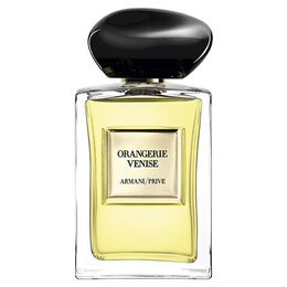 Giorgio Armani Туалетная вода Prive Figuier Eden 100 mpl387074