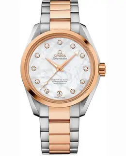Omega Seamaster Aqua Terra Co-Axial Master Chronometer - Model 231.20.39.21.55.003 (Authentic)