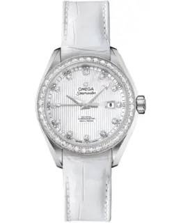 Omega - Seamaster Aqua Terra Watches - 231.18.34.20.55.001