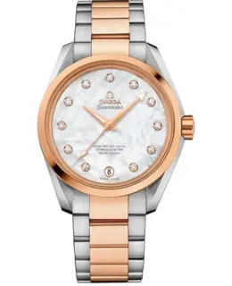 Omega - Seamaster Aqua Terra Watches - 231.20.39.21.55.003