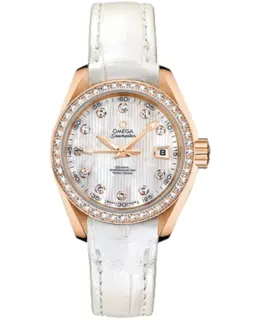 Omega - ساعة  Seamaster Aqua Terra - 231.58.30.20.55.001