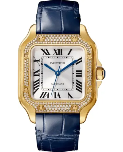 Cartier Santos De Cartier Medium Silver Dial Diamond Watch wjsa0013 (arb13180)