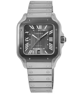 Cartier - Santos Watches - WSSA0037