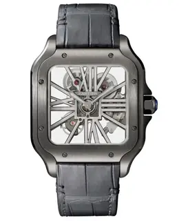 Cartier Santos De Cartier Skeleton Dial Mechanical Men's Watch whsa0009
