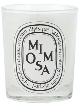 Diptyque 'Mimosa' perfume scented candle 10296360