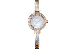 Citizen Часы Women's Ecology Drive Collection Watch em0863-53d品牌专供