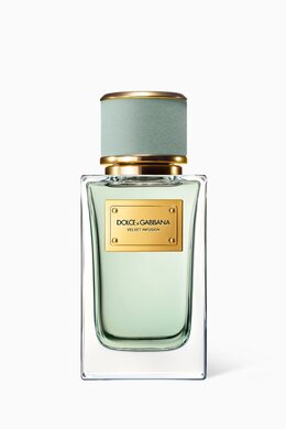Dolce & Gabbana Velvet Infusion Eau de Parfum, 100ml 217834531_242