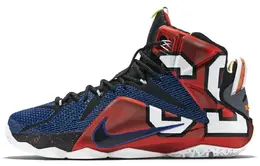 Баскетбольные кроссовки Nike Lebron 12 мужские 802193-909