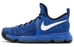 Мужские баскетбольные кроссовки Nike KD 9 843392-410