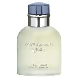 Dolce & Gabbana туалетная вода Light Blue pour Homme, 40 мл, 40 г 100616683749