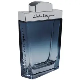 Salvatore Ferragamo туалетная вода Subtil pour Homme, 50 мл 101224147791