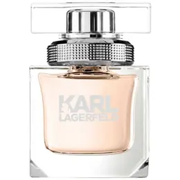 Karl Lagerfeld парфюмерная вода Karl Lagerfeld for Her, 45 мл, 280 г 101241121281