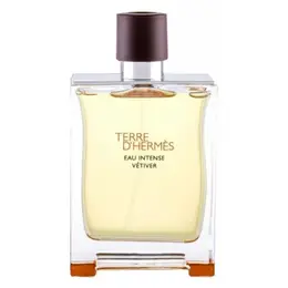 Hermes парфюмерная вода Terre d'Hermes Eau Intense Vetiver, 200 мл, 300 г 101243482166