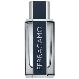 Salvatore Ferragamo туалетная вода Ferragamo, 30 мл, 115 г 101243014386