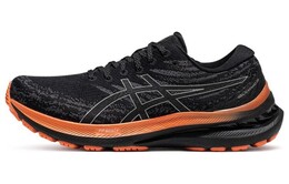 Мужские кроссовки Asics Gel-Kayano 29 1011b721-001
