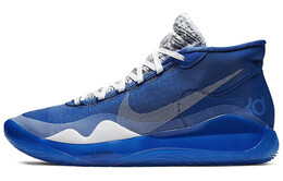 Мужские баскетбольные кроссовки Nike KD 12 cn9518-405