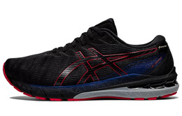Мужские кроссовки Asics GT-2000 10 1011b255-025