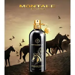 Парфюмерная вода (edP) Montale ARABIANS TONKA унисекс 2мл 103638236741