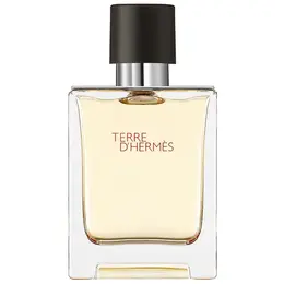 Hermes туалетная вода Terre d'Hermes, 50 мл, 50 г 101101554890