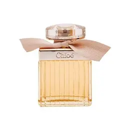 Chloe парфюмерная вода Chloe, 75 мл, 300 г 100569542377
