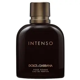 Dolce & Gabbana парфюмерная вода Dolce&Gabbana pour Homme Intenso, 125 мл, 100 г 100572576185