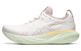 Кроссовки мужские Asics GEL-Nimbus 25 1011b547-100