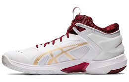 Мужские баскетбольные кроссовки Asics Gel-Burst 24 1063a015-101