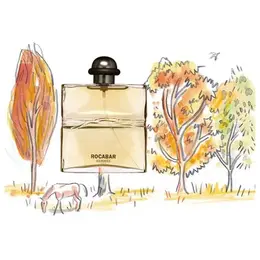 Мужская парфюмерия Hermes Rocabar туалетная вода 100ml 101610270927
