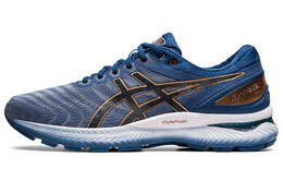 Кроссовки Asics GEL-Nimbus 22 Мужчины 1011a685-023