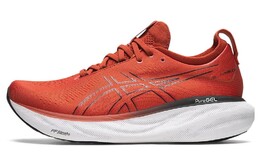 Кроссовки Asics GEL-Nimbus 25 Мужчины 1011b547-600