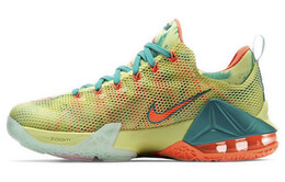 Мужские баскетбольные кроссовки Nike Lebron 12 776652-383