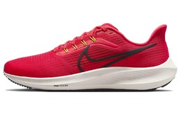 Мужские кроссовки для бега Nike Air Zoom Pegasus 39 dh4071-600