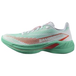 Кроссовки мужские SPECTUR 2 Low-top зеленые Salomon l47566800 | green