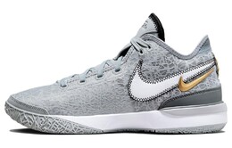Мужские баскетбольные кроссовки Nike LeBron NXXT Gen, Silver dr8784-004 | silver