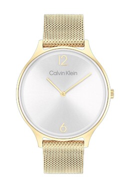 Женские часы Timeless 2H 25200003 Calvin Klein, золото 7613272456715 | gold