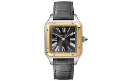 Мужские часы SANTOS DE Cartier w2sa0015