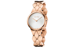 CK/ Наручные чацы Кварцевый механизм Металлический ремешок 28 мм Серебристый циферблат Женские часы k6e23646 Calvin Klein