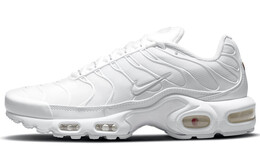 Кроссовки Nike Air Max Plus для мужчин dm2362-100