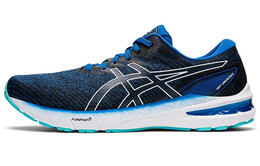 Кроссовки Asics GT-2000 10 Мужчины 1011b186-401