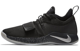 Мужские баскетбольные кроссовки Nike PG 2.5 bq8453-004