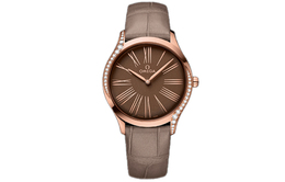 Omega Часы Women's Seahorse Series Ocean Universe Watch 428.58.36.60.13.001