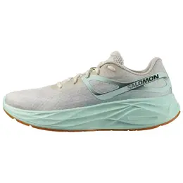 Кроссовки Salomon Aero Glide 'Bleached Sand Yucca', зеленый l47122600 | dusty green