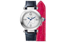 Cartier Часы Women's PASHA DE Watch wspa0012